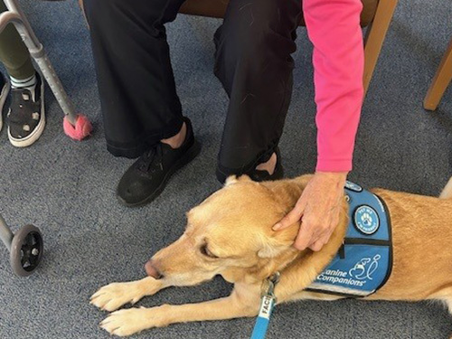 older adult petting rylynn