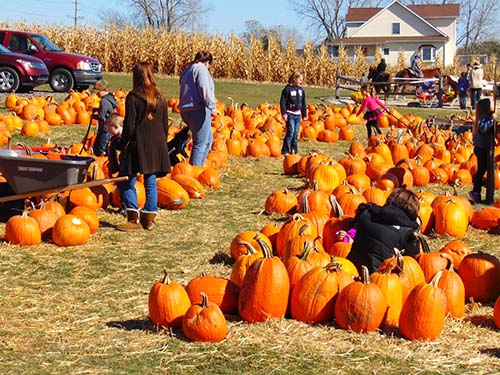 adults and children at pumpkin patch farm event