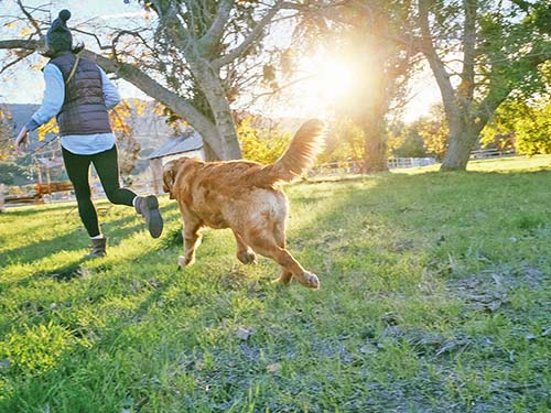 person running outside with dog following