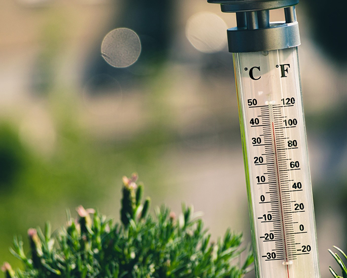 thermometer outside near landscaping