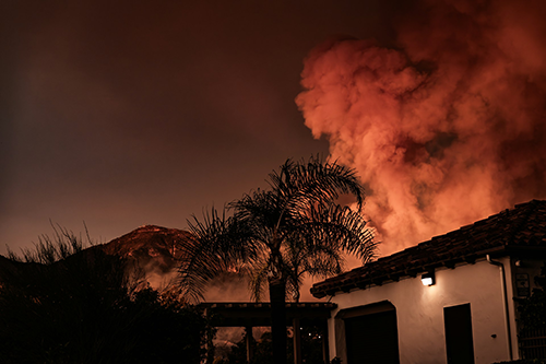 wildfire