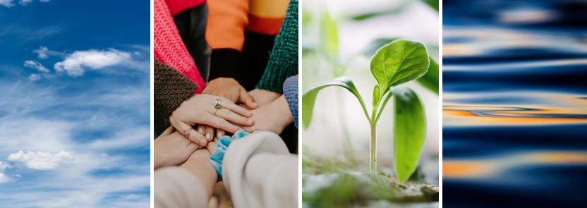 Clinical Services; sky, hands, plant, water