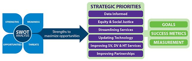 DSVS strategic plan strategic path approach graphic