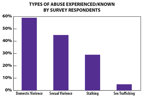 Types of Abuse Experienced/Known by Survey Respondents graph