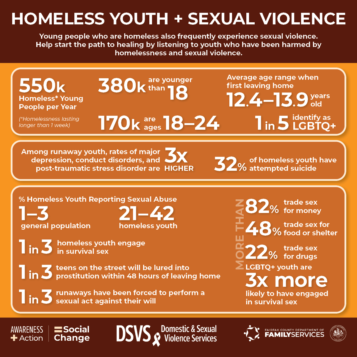 Homeless Youth Sexual Violence Infographic