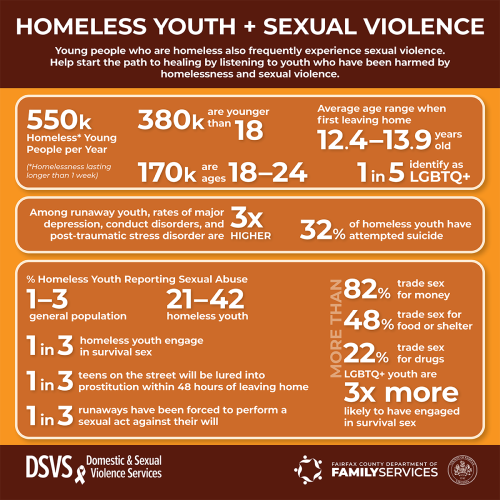 Homeless Youth Sexual Violence Infographic