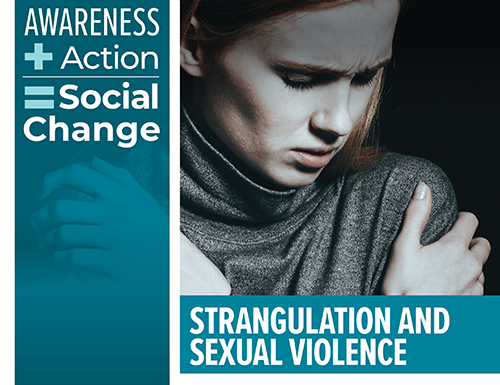 Strangulation and Sexual Violence training graphic