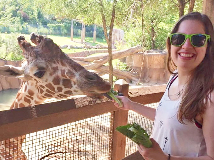 Debra Miller feeding giraffe