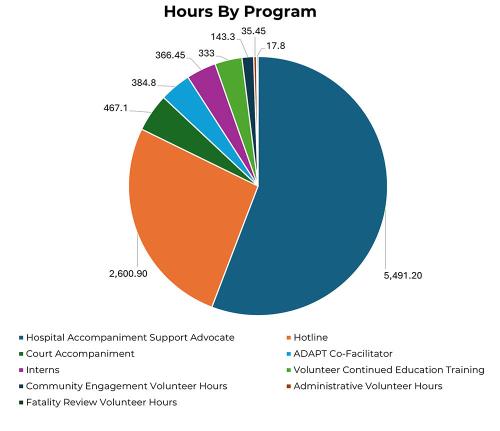 DSVS Volunteer Hours by Program