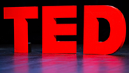 TED Wording 