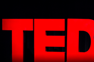 ted wording