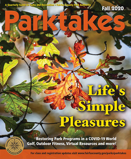 cover of Parktakes fall 2020 publication graphic