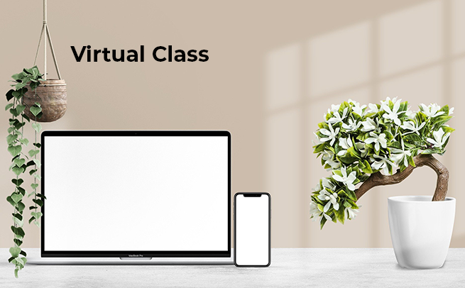 laptop, cell phone, decorative plants - graphic for virtual class
