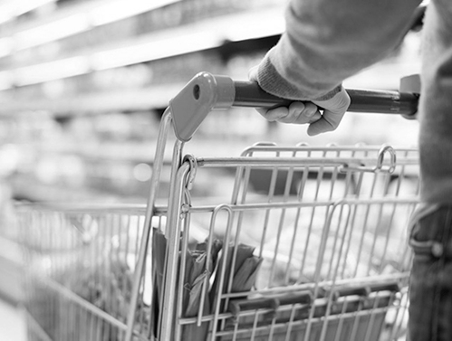 hands pushing grocery cart