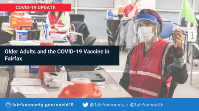 Older Adults and the COVID-19 Vaccine in Fairfax graphic