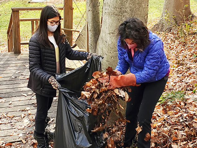 two people filling bag with leaves