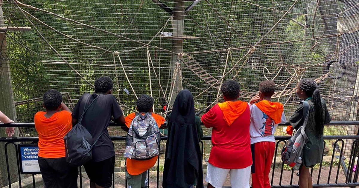Children attending FACETS summer camp looking at an enclosure during a visit to the zoo.