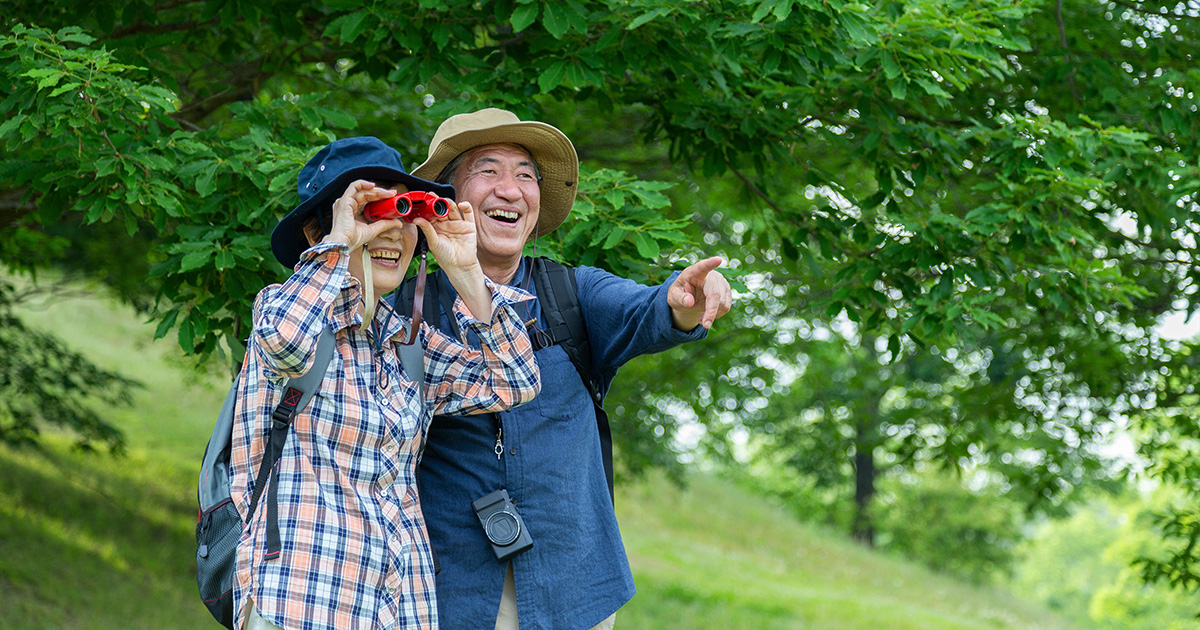 A happy older couple outdoors watching birds.