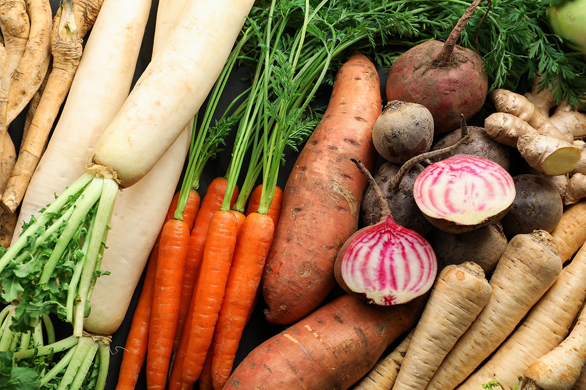 A variety of root vegetables, including jicama, carrots, sweet potatoes, and parsnips.