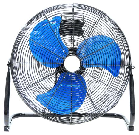 fan