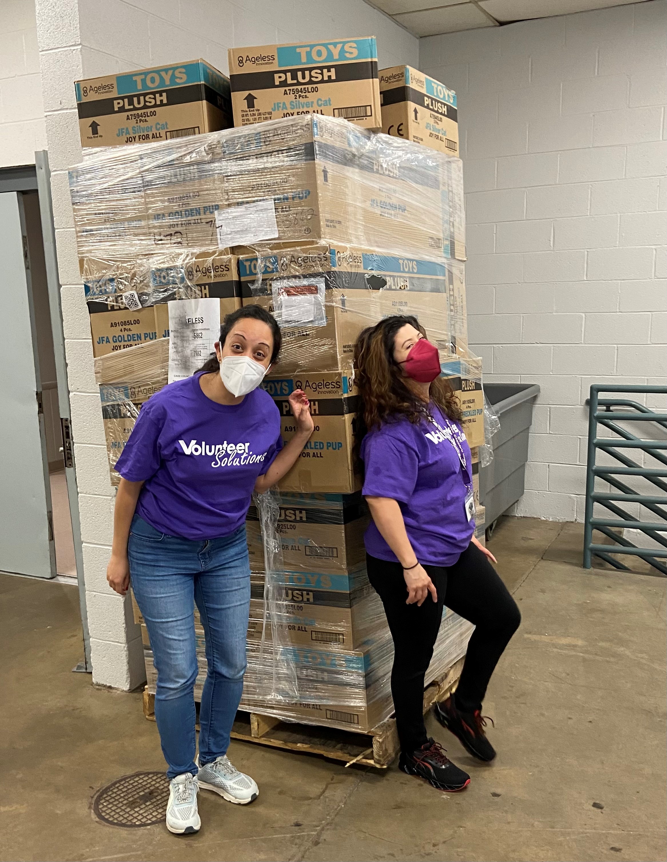 Volunteer Solutions staff receive robotic pets shipment