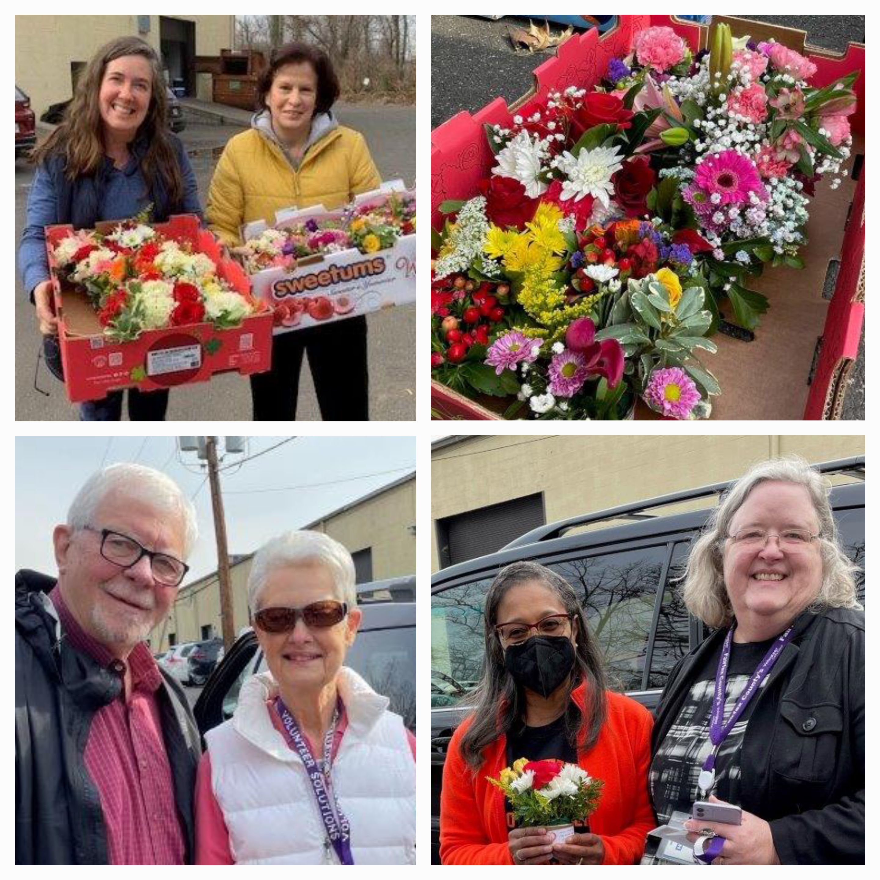 The Garden Club of Waynewood