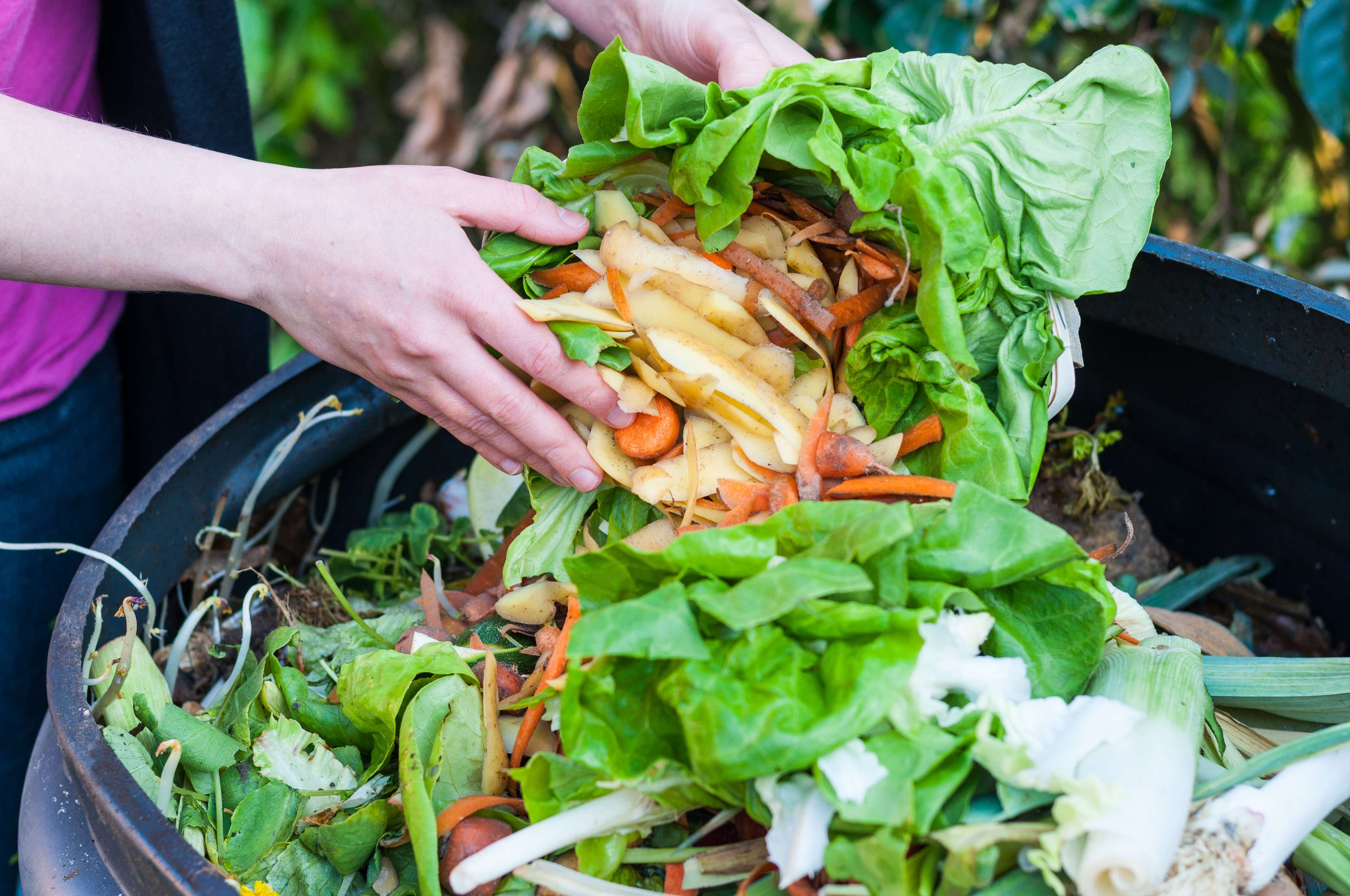 Compost bin