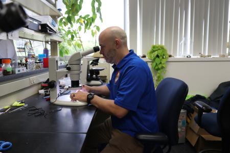 Man looking at microscope
