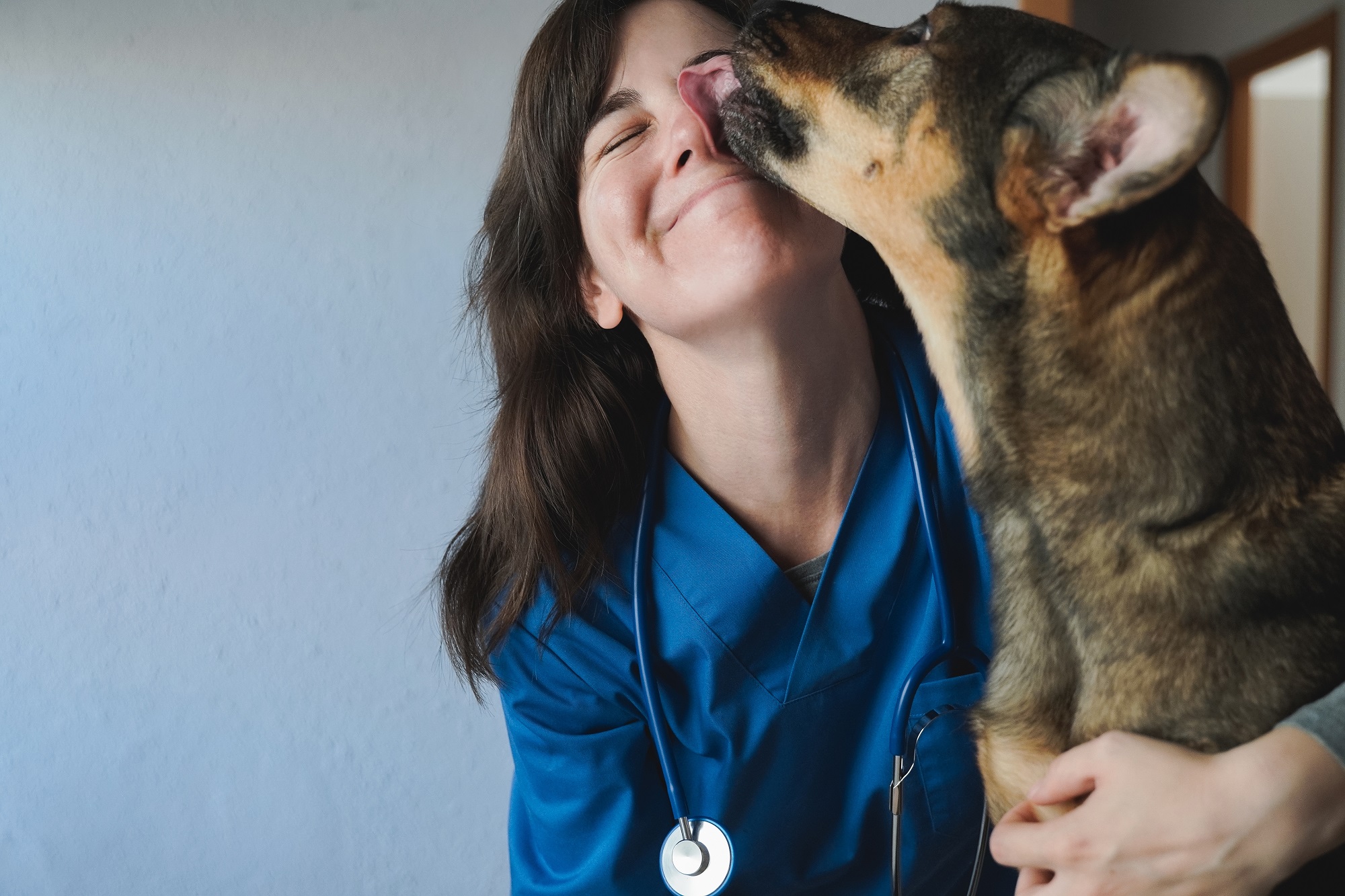 A puppy licks a vet