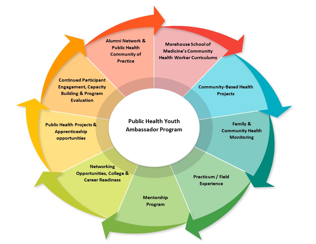 Wheel depicting elements of the Public Health Youth Ambassador Program