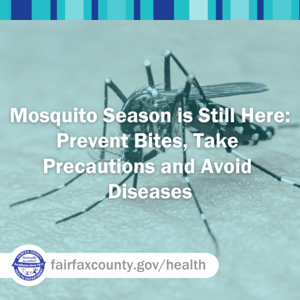 Story title over image of a mosquito