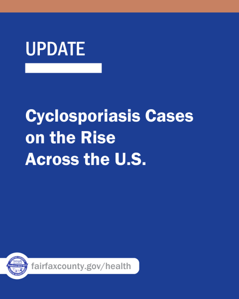 Cyclosporiasis cases are on the rise