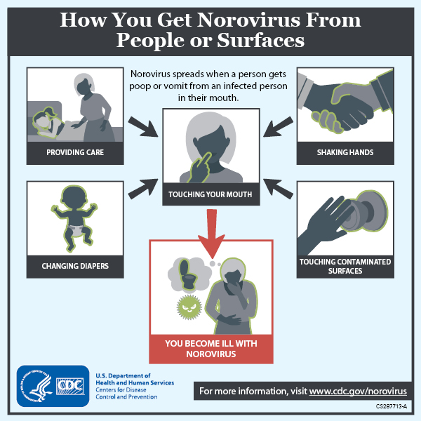 How to Get Norovirus from People and Surfaces