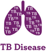 Tuberculosis Disease Lungs