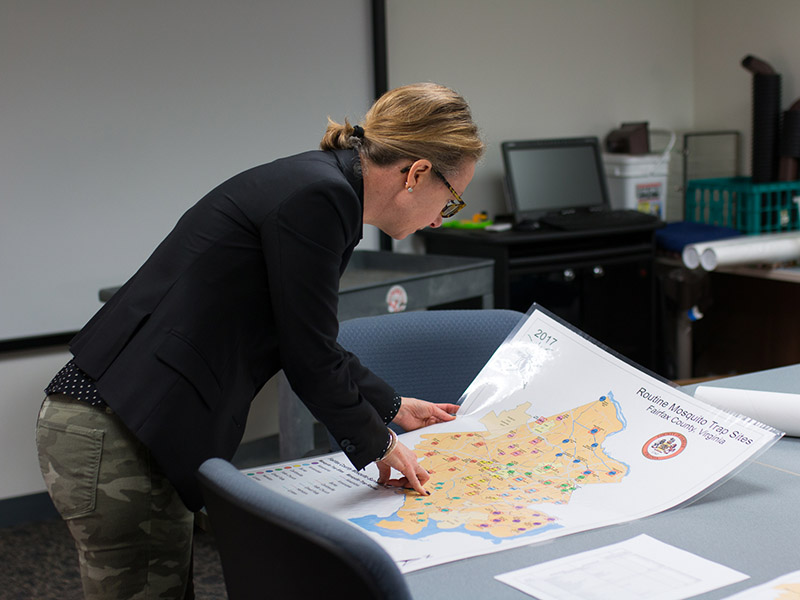 Woman looks at mosquito trap map