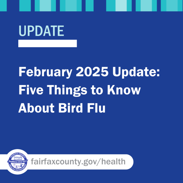 February 2025 Update: Five Things to Know About Bird Flu