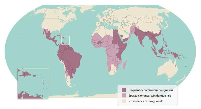 World map highlighting tropical and subtropical areas of dengue risk.