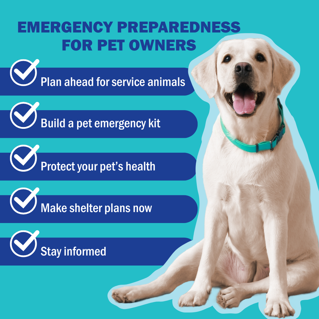 Emergency Preparedness for Pet Owners