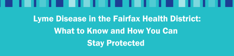 Lyme Disease in the Fairfax Health District: What to Know and How You Can Stay Protected 