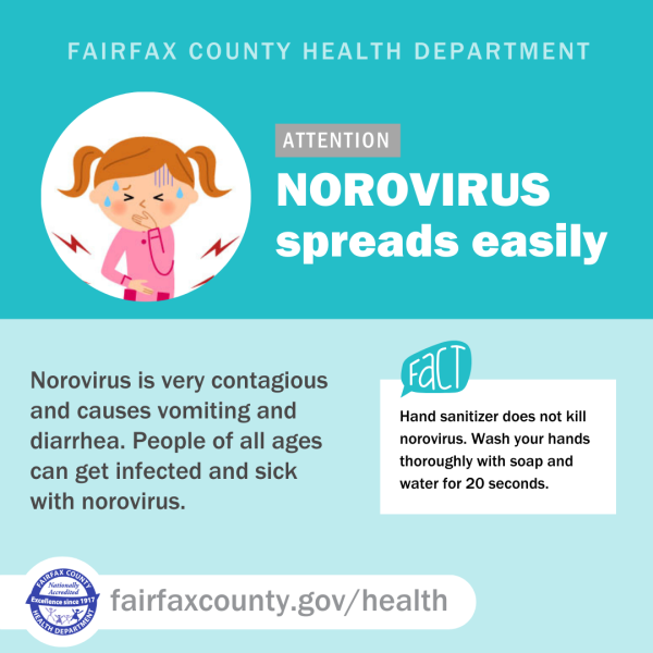 Norovirus Fact