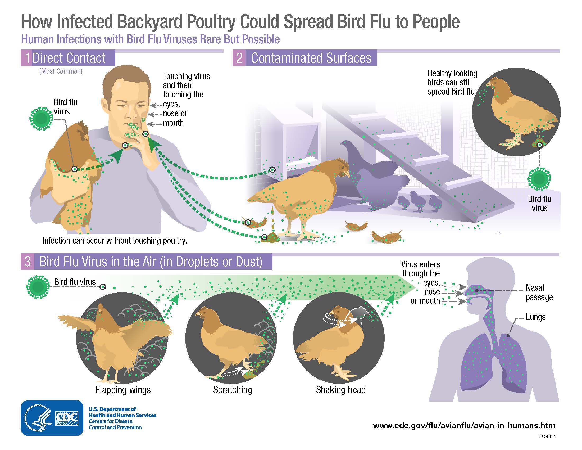 Avian Influenza Update for Backyard Flock Owners Health