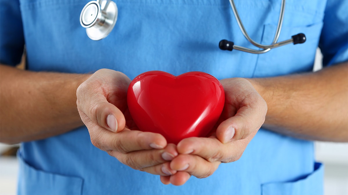 Doctor holding plastic heart