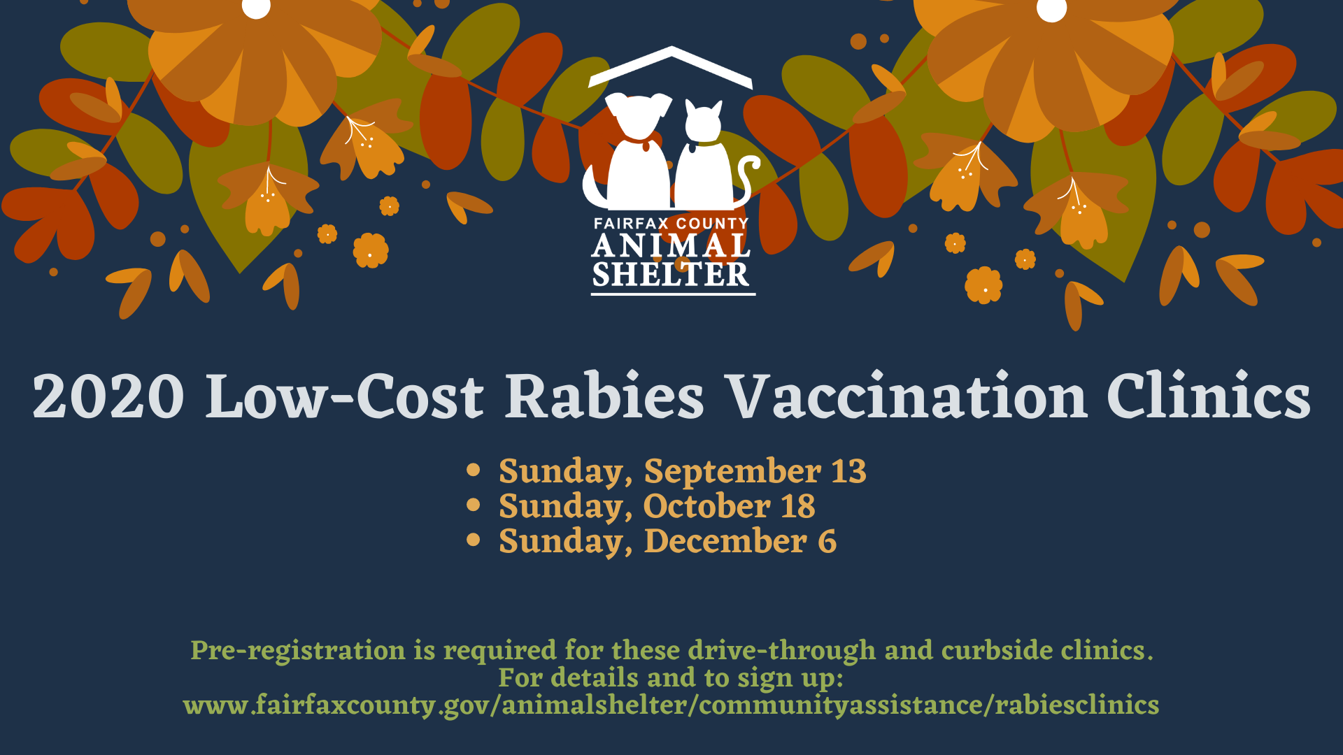 low cost rabies vaccine for cats near me