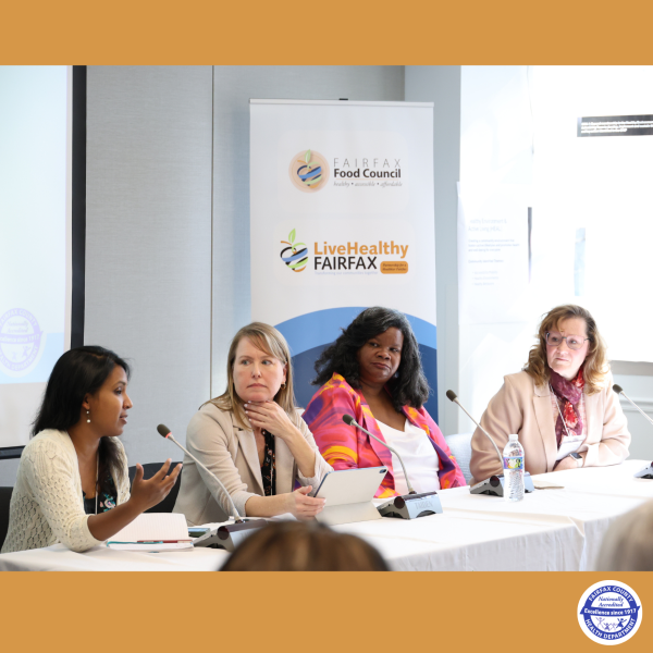 Panel of presenters during partnership for a healthier fairfax meeting