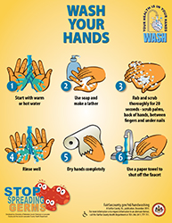 6 steps to wash your hands