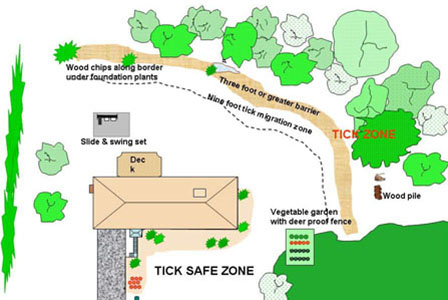 Landscape plan around home with wood chips along border under foundation plants, 3 foot or greater barrier from tick zone, 9 foot tick  migration zone, and vegetable garden with deer-proof fence
