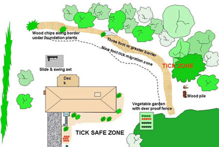 Landscape plan around home with wood chips along border under foundation plants, 3 foot or greater barrier from tick zone, 9 foot tick migration zone, and vegetable garden with deer-proof fence