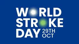 World Stroke Day logo, with white text on a navy blue background