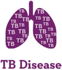 illustration of TB disease in the lungs
