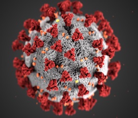 Coronavirus